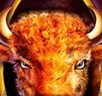 Buffalo Spirit logo.