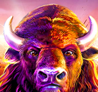 Wild Buffalo logo.