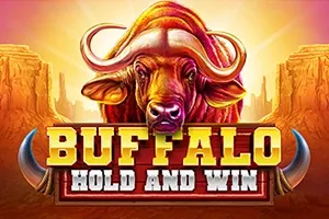 Buffalo Hold and Win slot artwork
