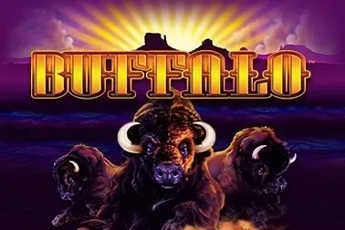 Buffalo slot artwork